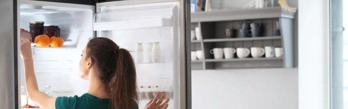 Trouvez le frigo ou congelo pas cher - Intérieur Maison